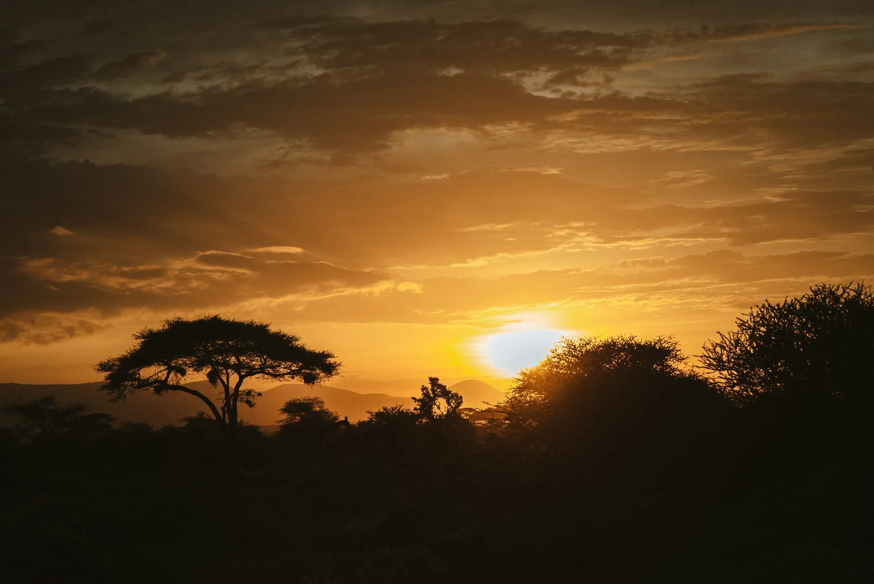 Amboseli – Kilimanjaro views